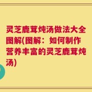 灵芝鹿茸炖汤做法大全图解(图解：如何制作营养丰富的灵芝鹿茸炖汤)