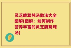 灵芝鹿茸炖汤做法大全图解(图解：如何制作营养丰富的灵芝鹿茸炖汤)