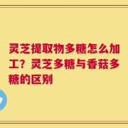 灵芝提取物多糖怎么加工？灵芝多糖与香菇多糖的区别