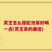 灵芝怎么搭配泡茶好喝一点(灵芝茶的最佳)