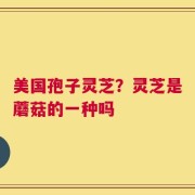 美国孢子灵芝？灵芝是蘑菇的一种吗