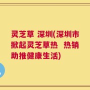灵芝草 深圳(深圳市掀起灵芝草热  热销助推健康生活)