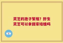 灵芝的孢子繁殖？野生灵芝可以拿回家培植吗