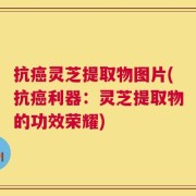 抗癌灵芝提取物图片(抗癌利器：灵芝提取物的功效荣耀)