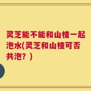 灵芝能不能和山楂一起泡水(灵芝和山楂可否共泡？)