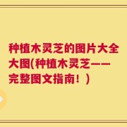 种植木灵芝的图片大全大图(种植木灵芝——完整图文指南！)
