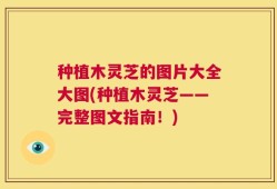 种植木灵芝的图片大全大图(种植木灵芝——完整图文指南！)