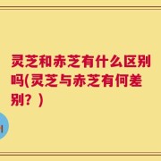 灵芝和赤芝有什么区别吗(灵芝与赤芝有何差别？)