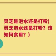 灵芝是泡水还是打粉(灵芝泡水还是打粉？该如何食用？)