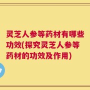 灵芝人参等药材有哪些功效(探究灵芝人参等药材的功效及作用)
