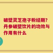 破壁灵芝孢子粉经期？丹参破壁饮片的功效与作用有什么