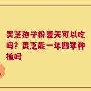 灵芝孢子粉夏天可以吃吗？灵芝能一年四季种植吗