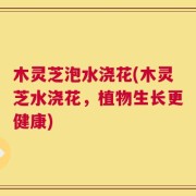 木灵芝泡水浇花(木灵芝水浇花，植物生长更健康)