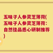 五味子人参灵芝薄荷(五味子人参灵芝薄荷：自然佳品悉心研制推荐)
