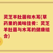 灵芝羊肚菌和木耳(草药里的美味佳肴：灵芝羊肚菌与木耳的健康组合)