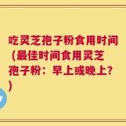 吃灵芝孢子粉食用时间 (最佳时间食用灵芝孢子粉：早上或晚上？)