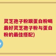 灵芝孢子粉跟蛋白粉喝最好灵芝孢子粉与蛋白粉的最佳搭配)
