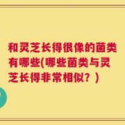 和灵芝长得很像的菌类有哪些(哪些菌类与灵芝长得非常相似？)