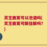 灵芝鹿茸可以泡酒吗(灵芝鹿茸可酿佳酿吗？)
