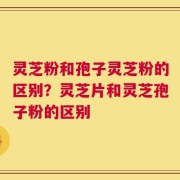 灵芝粉和孢子灵芝粉的区别？灵芝片和灵芝孢子粉的区别