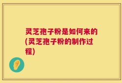 灵芝孢子粉是如何来的(灵芝孢子粉的制作过程)