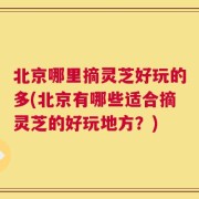 北京哪里摘灵芝好玩的多(北京有哪些适合摘灵芝的好玩地方？)