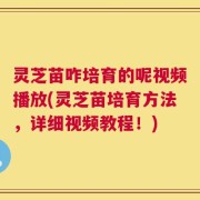 灵芝苗咋培育的呢视频播放(灵芝苗培育方法，详细视频教程！)