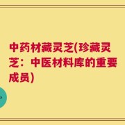中药材藏灵芝(珍藏灵芝：中医材料库的重要成员)