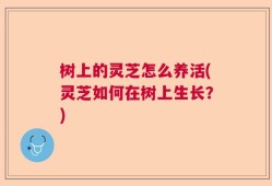 树上的灵芝怎么养活(灵芝如何在树上生长？)