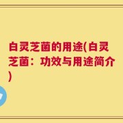 白灵芝菌的用途(白灵芝菌：功效与用途简介)