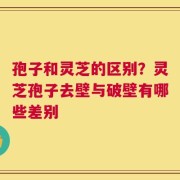 孢子和灵芝的区别？灵芝孢子去壁与破壁有哪些差别