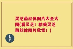 灵芝菌丝体图片大全大图(看灵芝！精美灵芝菌丝体图片欣赏！)