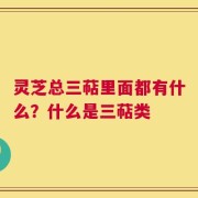 灵芝总三萜里面都有什么？什么是三萜类
