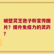 破壁灵芝孢子粉宣传图片？提升免疫力的灵药？