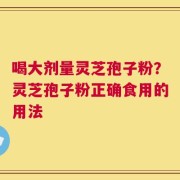 喝大剂量灵芝孢子粉？灵芝孢子粉正确食用的用法