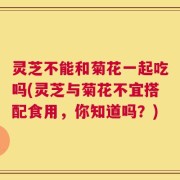 灵芝不能和菊花一起吃吗(灵芝与菊花不宜搭配食用，你知道吗？)