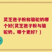 灵芝孢子粉和骆驼奶哪个好(灵芝孢子粉与骆驼奶，哪个更好？)