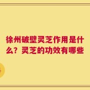 徐州破壁灵芝作用是什么？灵芝的功效有哪些