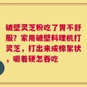 破壁灵芝粉吃了胃不舒服？家用破壁料理机打灵芝，打出来成棉絮状，嚼着硬怎吞吃