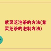 紫灵芝泡茶的方法(紫灵芝茶的泡制方法)