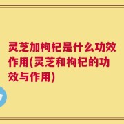 灵芝加枸杞是什么功效作用(灵芝和枸杞的功效与作用)