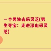 一个男生去采灵芝(男生寻宝：走进深山采灵芝)