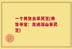 一个男生去采灵芝(男生寻宝：走进深山采灵芝)