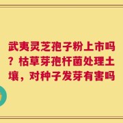 武夷灵芝孢子粉上市吗？枯草芽孢杆菌处理土壤，对种子发芽有害吗