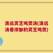 清远灵芝鸡煲汤(清远汤香浓郁的灵芝鸡煲)