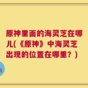 原神里面的海灵芝在哪儿(《原神》中海灵芝出现的位置在哪里？)