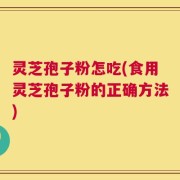 灵芝孢子粉怎吃(食用灵芝孢子粉的正确方法)