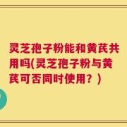 灵芝孢子粉能和黄芪共用吗(灵芝孢子粉与黄芪可否同时使用？)