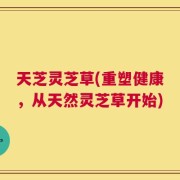 天芝灵芝草(重塑健康，从天然灵芝草开始)