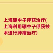 上海硼中子俘获治疗(上海利用硼中子俘获技术进行肿瘤治疗)